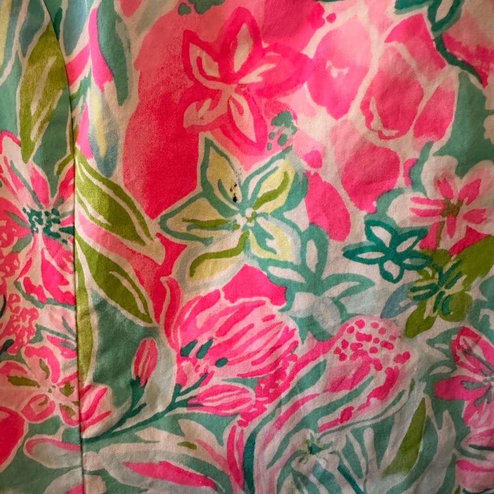 Girls Lilly Pulitzer Pink and Green Floral Dress - Picture 2 of 3